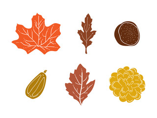 Minimal cute fall leaves set vector