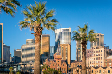 Sticker - Modern cityscape skyline with skyscrapers and historic buildings with palm trees