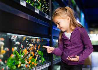 Wall Mural - Girl looking at aquarium fish in pet shop