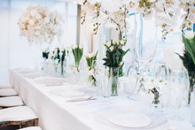 Formal Luxury Elegant Wedding Decor Restaurant Tables Served White Tablecloth, Plates, Menus, Glasses, Tulips In Vases, Orchids, Candles Silver Chairs, Blue Background