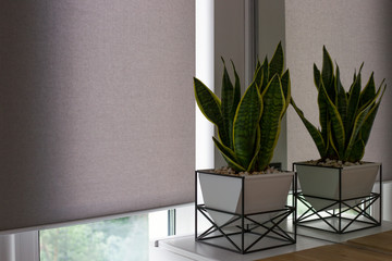 Leinwandbilder - Automatic roller blinds on the window. A houseplant in a modern pot stands on the bedside wooden table next to an automatic roller shades. Motorized roller blinds are made from texture material.