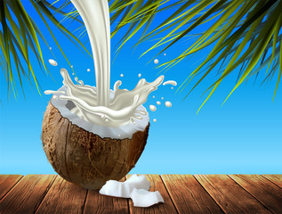 Wall Mural - Half a coconut and a splash of milk in it. Highly detailed realistic illustration.