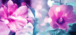 Spring floral background in ultraviolet neon glow. Flower bud close-up with blurry bokeh. Copy space for text.