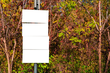 Poster - Blank white advertisement/annoucement board in the park. Sunny autumn day