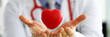 Leinwandbild Motiv Male medicine doctor hands holding and covering red toy heart
