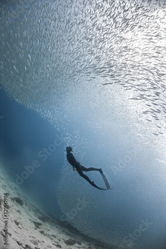 Dekoracja na wymiar  freediver-nurkuje-przed-lawica-ryb