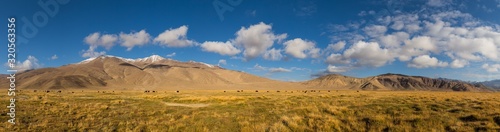 Fotografía Panorama of mountain pastures with wild yakas in the Pamir mountains in Tajikist