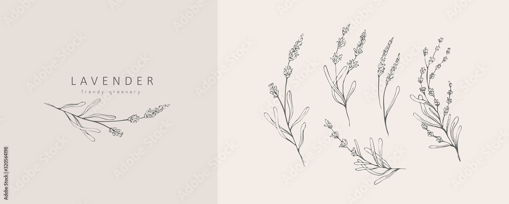 Lavender logo and branch. Hand drawn wedding herb, plant and monogram with elegant leaves for invitation save the date card design. Botanical rustic trendy greenery - obrazy, fototapety, plakaty 