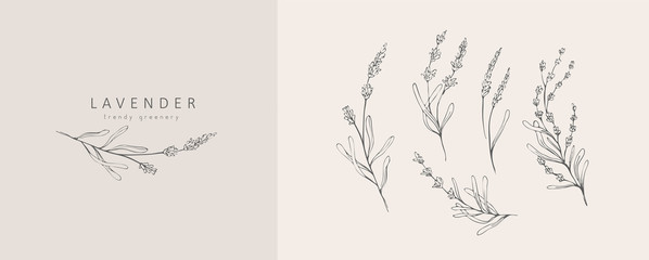 Wall Mural - lavender logo and branch. hand drawn wedding herb, plant and monogram with elegant leaves for invita