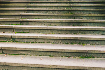 Wall Mural - Concrete steps stair with the green moss