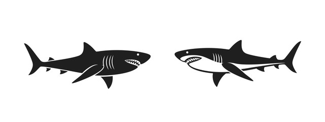 Wall Mural - Shark logo. Isolated shark on white background