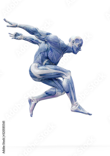 Fotomural muscleman anatomy heroic body jumping in white background