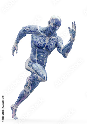 Fotografía muscleman anatomy heroic body is running in white background
