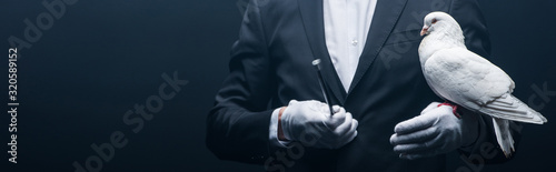 Fotografía panoramic shot of magician showing trick with dove and wand isolated on black