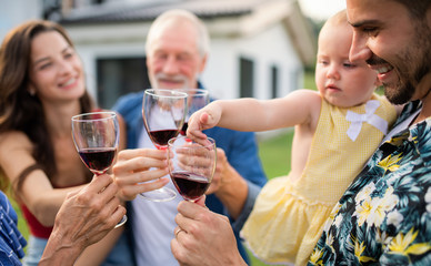 Wall Mural - Portrait of people with wine outdoors on family garden barbecue.