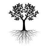Fototapeta  - Shape of black Tree with roots and leaves. Vector illustration.