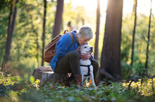 A Senior Woman With Dog On A Walk Outdoors In Forest, Resting.