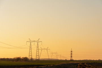 Wall Mural - Electric poles with high voltage lines on the background of beautiful fields