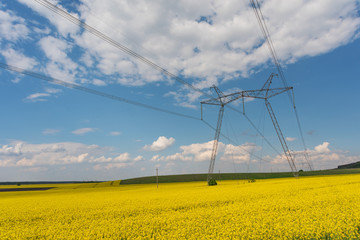 Wall Mural - Electric poles with high voltage lines on the background of beautiful fields