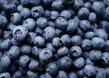 Fototapeta Mapy - blueberry, natural antioxidants, top view