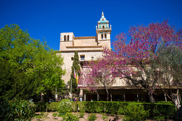 Wall Mural - Church in  Valldemossa, Mallorca, Spain