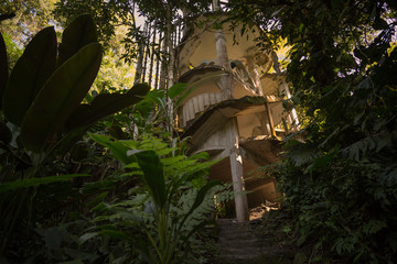 Wall Mural - surreal architecture, fantastic landscape, beautiful old castle,Beautiful structures, jungle and waterfalls in Edward James´s surreal botanical garden, Xilitla, San Luis Potosi, Mexico