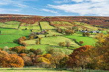Autumn Sunlight Over Green Fields And Deciduous Woodland In Farndale, The North Yorkshire Moors, Yorkshire