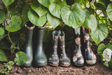 Fototapeta  - Boots For All Family In Garden In Summer.
