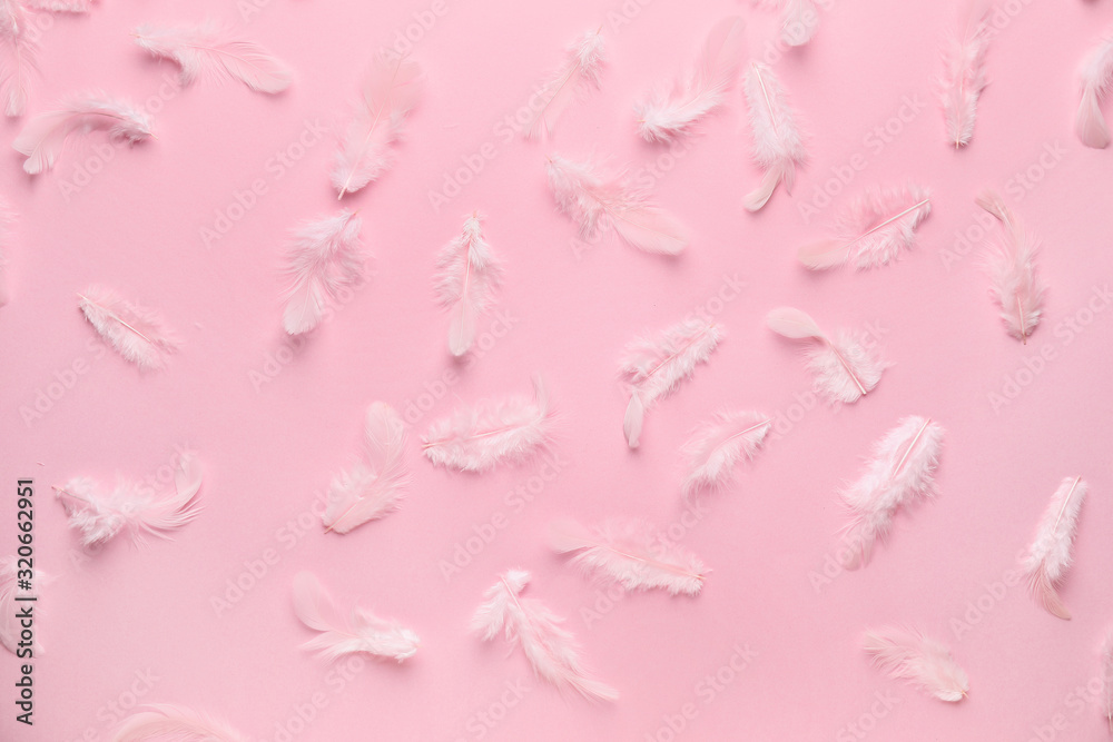 Many feathers on pink background