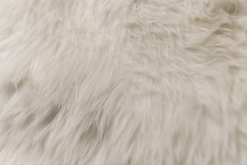 white artificial fur texture for background close-up