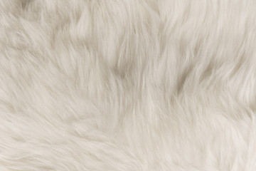 Wall Mural - White flufy textile close-up. Faux fur background.
