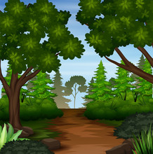 Illustration Of Forest Scene With Dirt Trail
