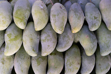 Canvas Print - close up of sunflower seeds