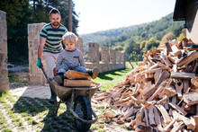 A Father And Toddler Boy Outdoors In Summer, Working With Firewood.