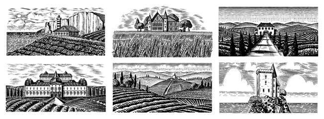 Poster - Vineyards Set. Vine plantation for bottle labels. Scenic view of French or Italian engraved landscape. Mountains Rural Fields Wheat Hills. Hand drawn vintage sketch for alcohol, whiskey beer poster.