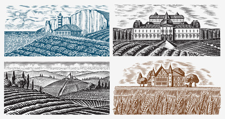 Wall Mural - Vineyards Set. Vine plantation for bottle labels. Scenic view of French or Italian engraved landscape. Mountains Rural Fields Wheat Hills. Hand drawn vintage sketch for alcohol, whiskey beer poster.