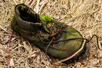  Old slipper covered with green moss