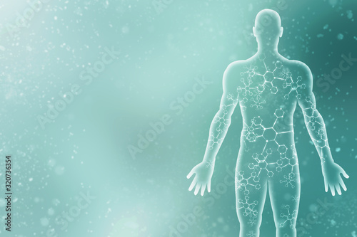 Fotografía 2d illustration Human Male Muscle Body