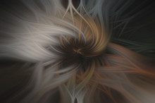 Ethereal Image Muted Earthy Pallet 7