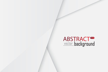 Leinwandbilder - White and grey background vector overlap dimension. Vector illustration business style