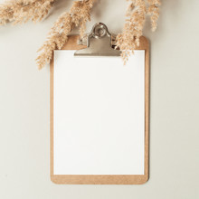 Flat Lay Minimalist Home Office Desk With Blank Sheet Clipboard With Copy Space For Text, Reeds Branch, Casket On Neutral Background. Top View Work, Business, Education Template.