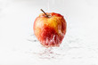 Jabłko w deszczu, polewane wodą. Widzoczne krople