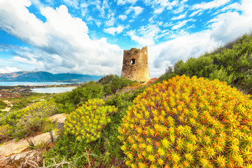 Wall Mural - Fantastic view on Lagoon of Porto Giunco with turquoise water and old tower.