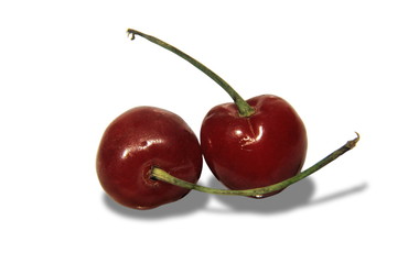 Cherry, Rhagoletis cingulata  fruits are roughly round with a depression at apex (top) of the fruit . 