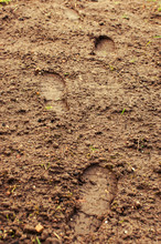 Human Boot Footprints On Brown Rural Ground