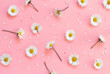 White daisies on a light pink background