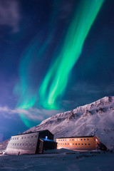 Wall Mural - the polar arctic northern lights aurora borealis sky star in norway svalbard in longyearbyen with th