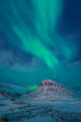 Wall Mural - the polar arctic northern lights aurora borealis sky star in norway svalbard in longyearbyen with th