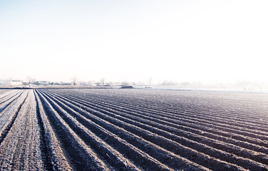 Winter farm field ready for new planting season. Agriculture and agribusiness. Choosing right time for sow fields plant seeds, protection from spring frosts. Preparatory agricultural work for spring.