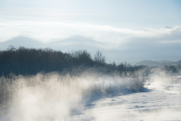  朝霧の風景